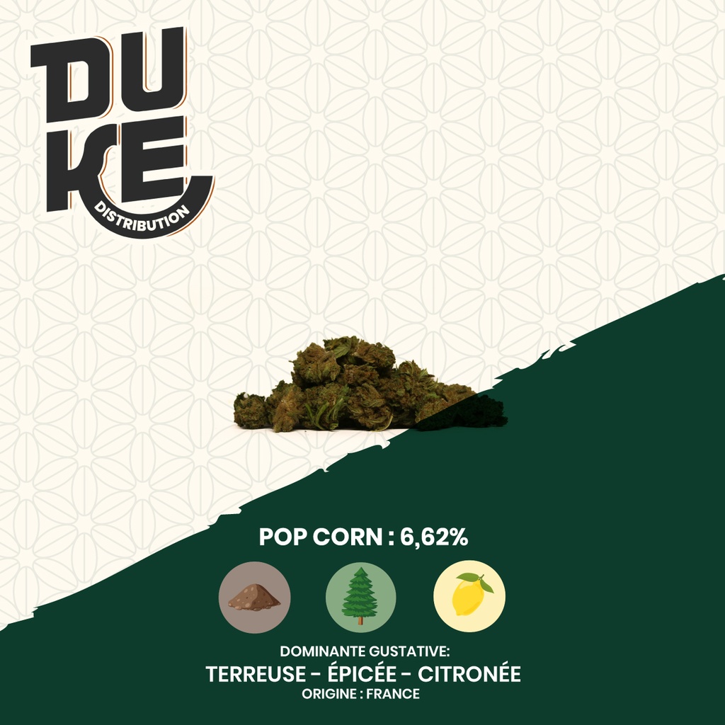 Fleur POP CORN - CBD Bio