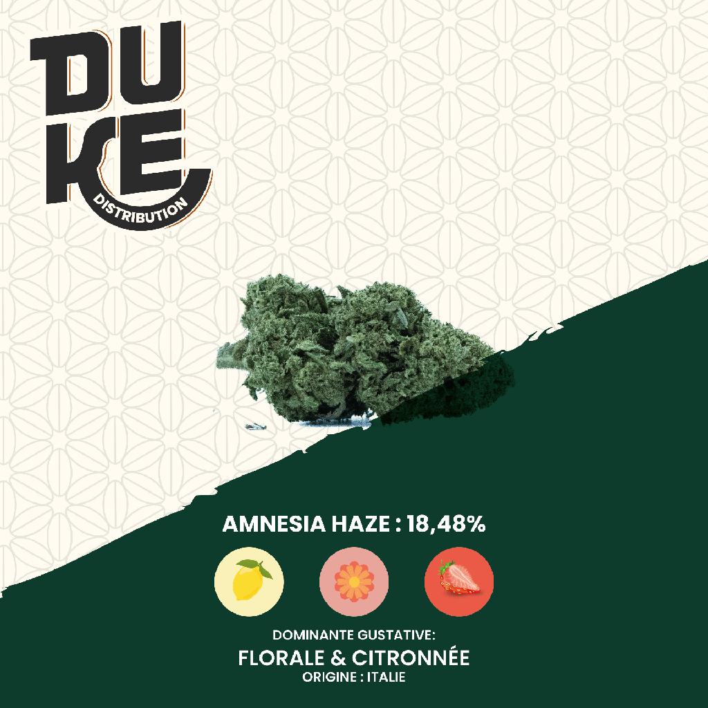 Fleur AMNESIA HAZE - CBD