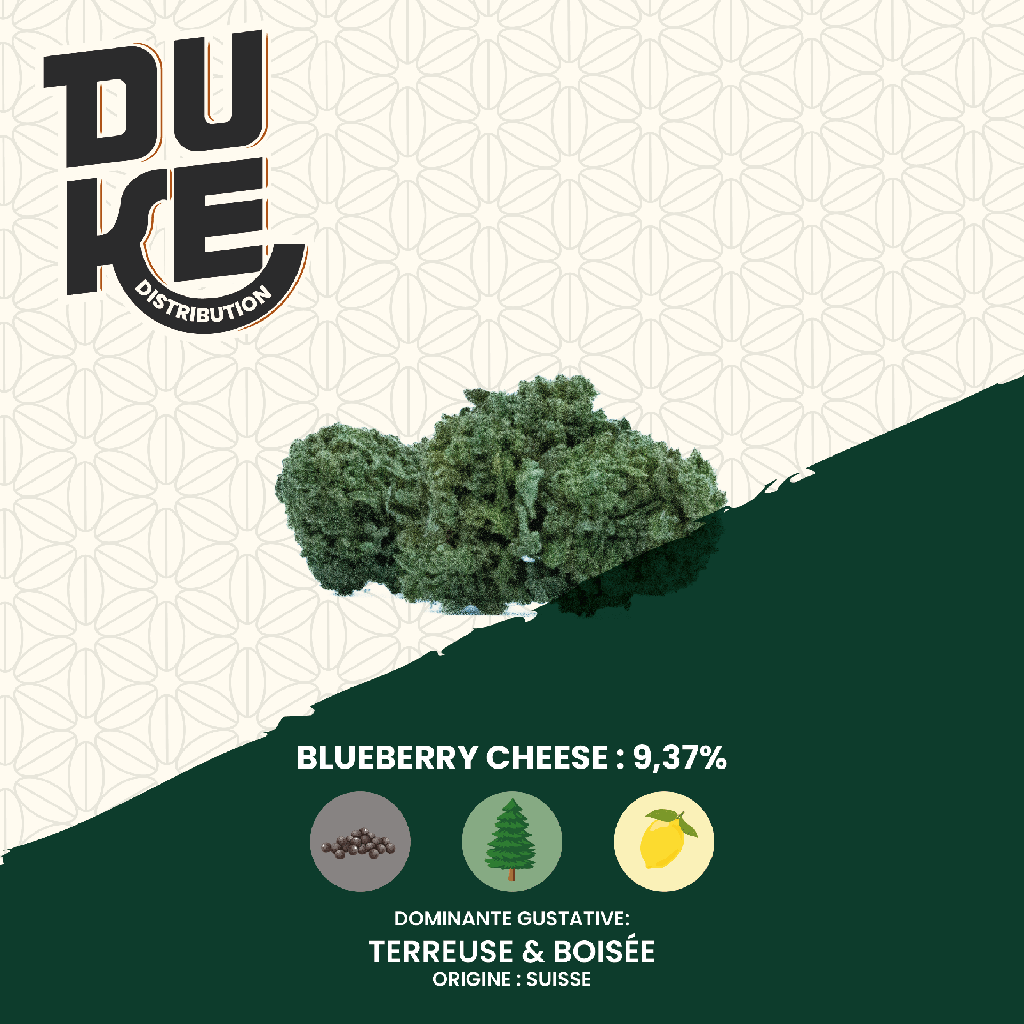 Fleur BLUEBERRY CHEESE - CBD