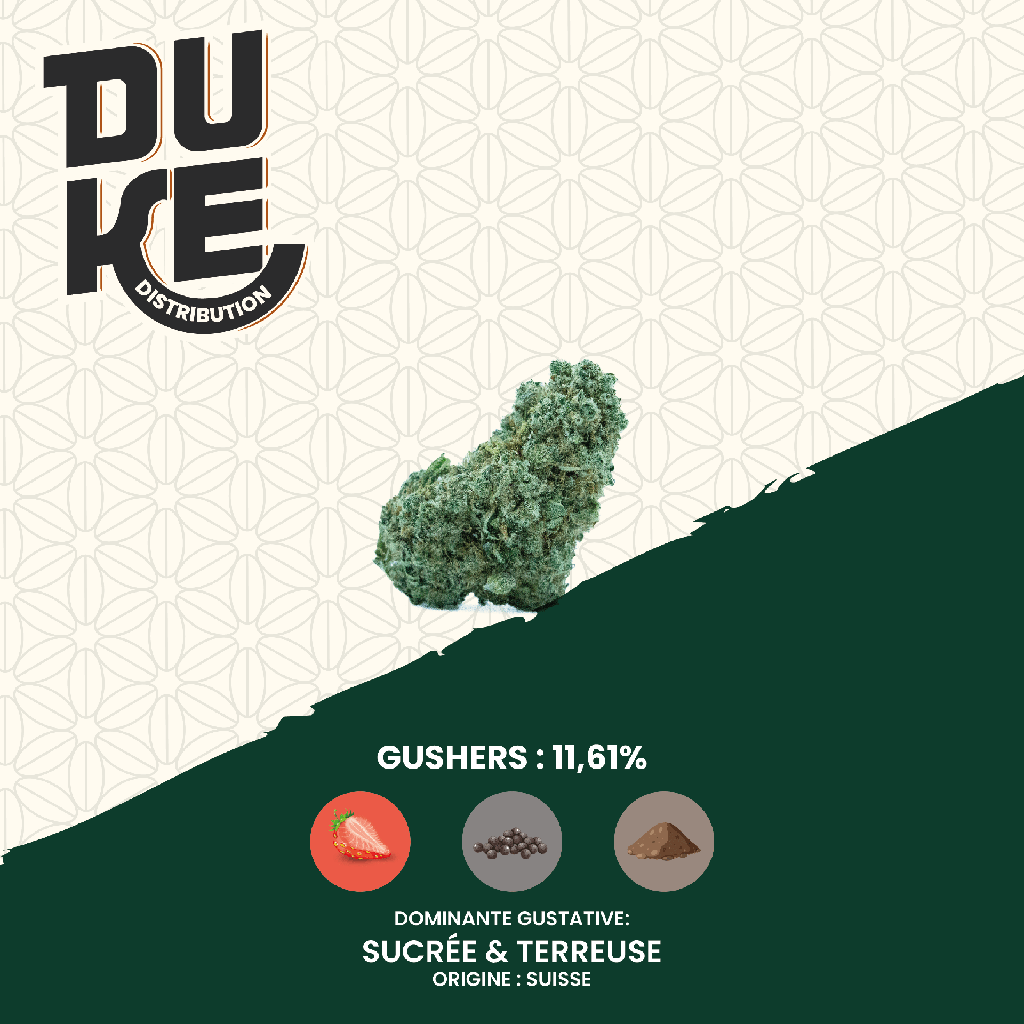 Fleur GUSHERS - CBD