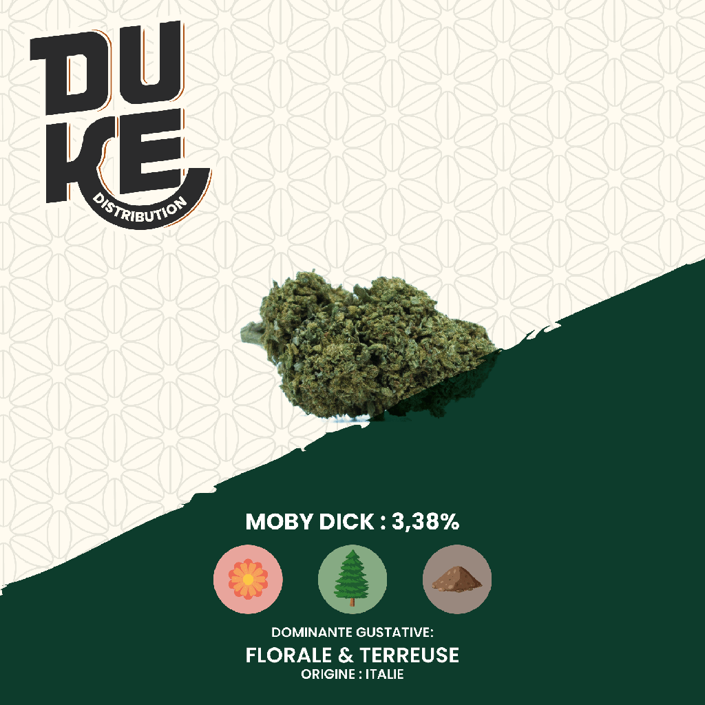 Fleur MOBYDICK - CBD