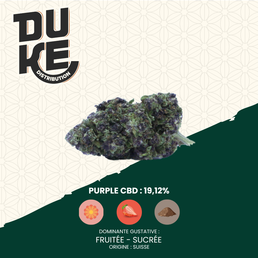 Fleur PURPLE - CBD