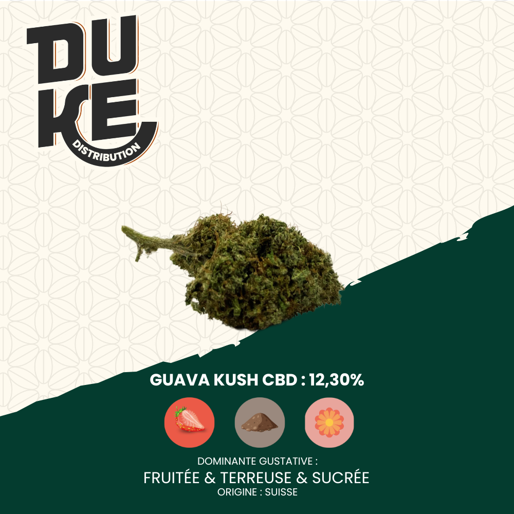 Fleur GUAVA KUSH - CBD
