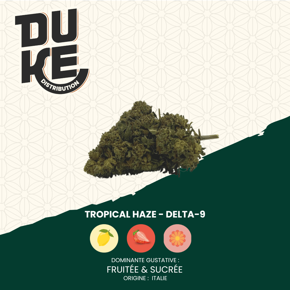 Fleur TROPICAL HAZE - DELTA-9