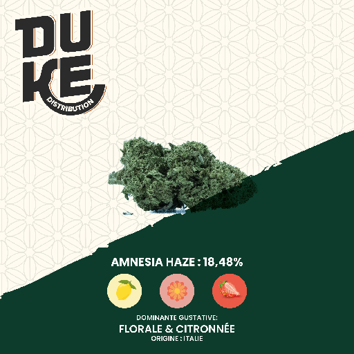 Fleur AMNESIA HAZE - CBD