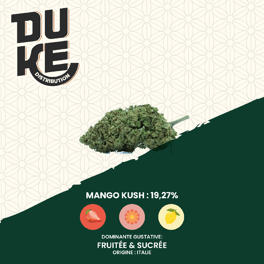 Fleur MANGO KUSH - CBD