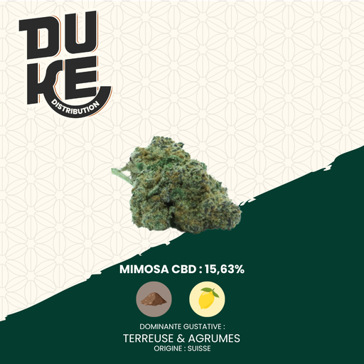 Fleur MIMOSA - CBD