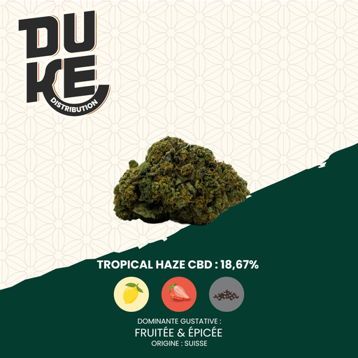Fleur TROPICAL HAZE - CBD