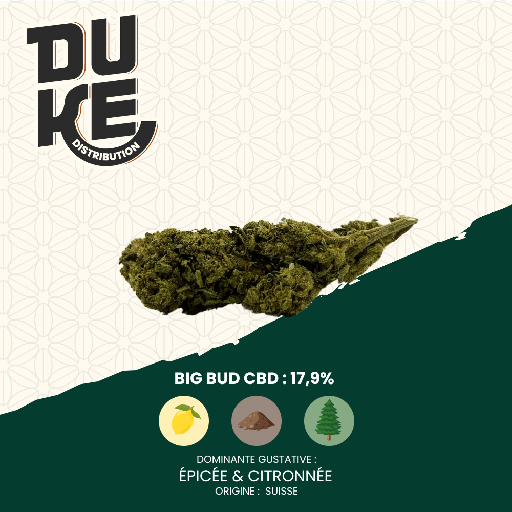 Fleur BIG BUD - CBD
