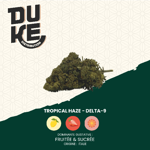 Fleur TROPICAL HAZE - DELTA-9